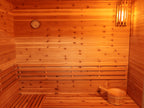 Denali 4-Person Contemporary Outdoor Sauna - by SunRay Sauna