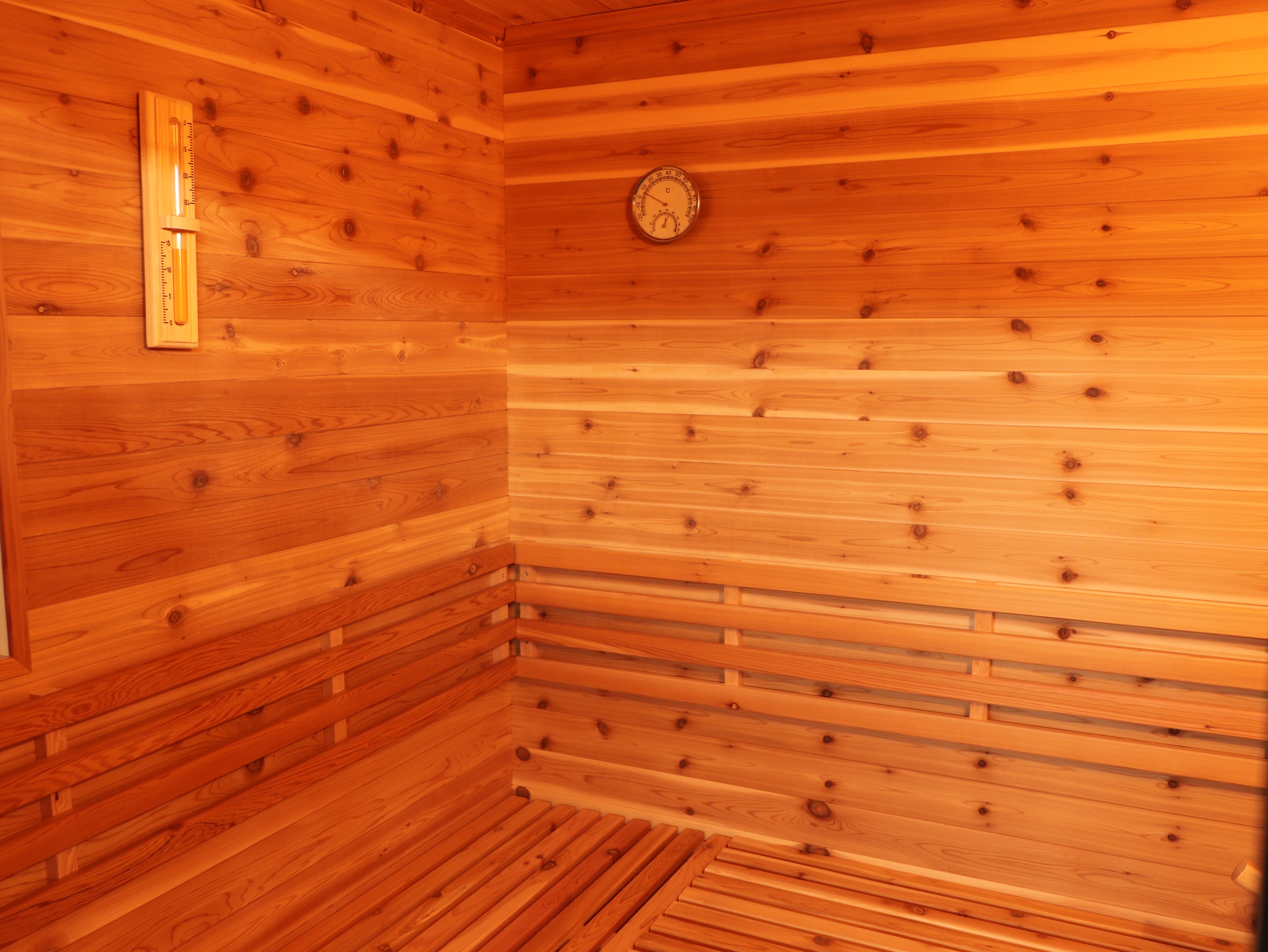 Denali 4-Person Contemporary Outdoor Sauna - by SunRay Sauna