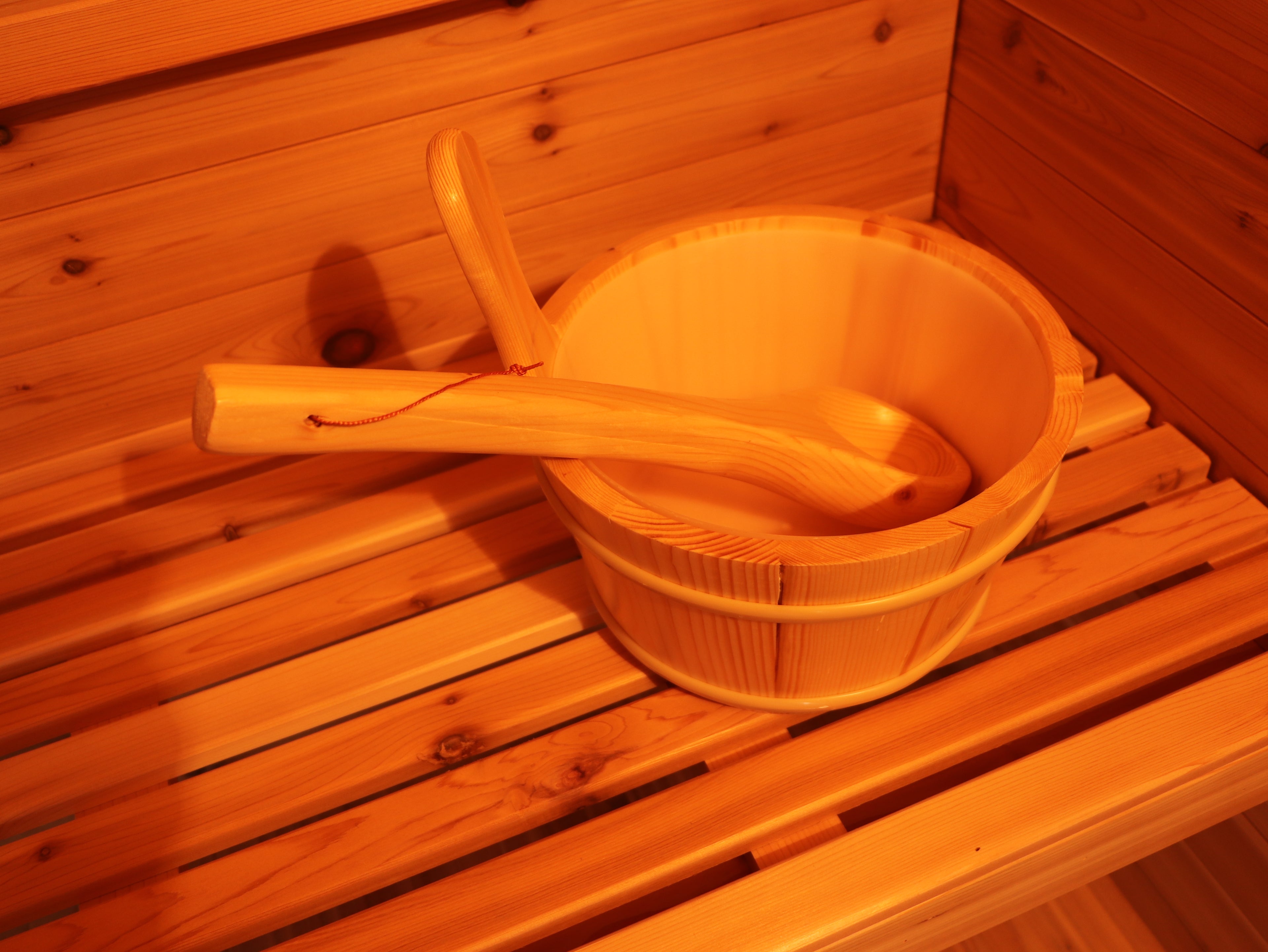 Denali 4-Person Contemporary Outdoor Sauna - by SunRay Sauna