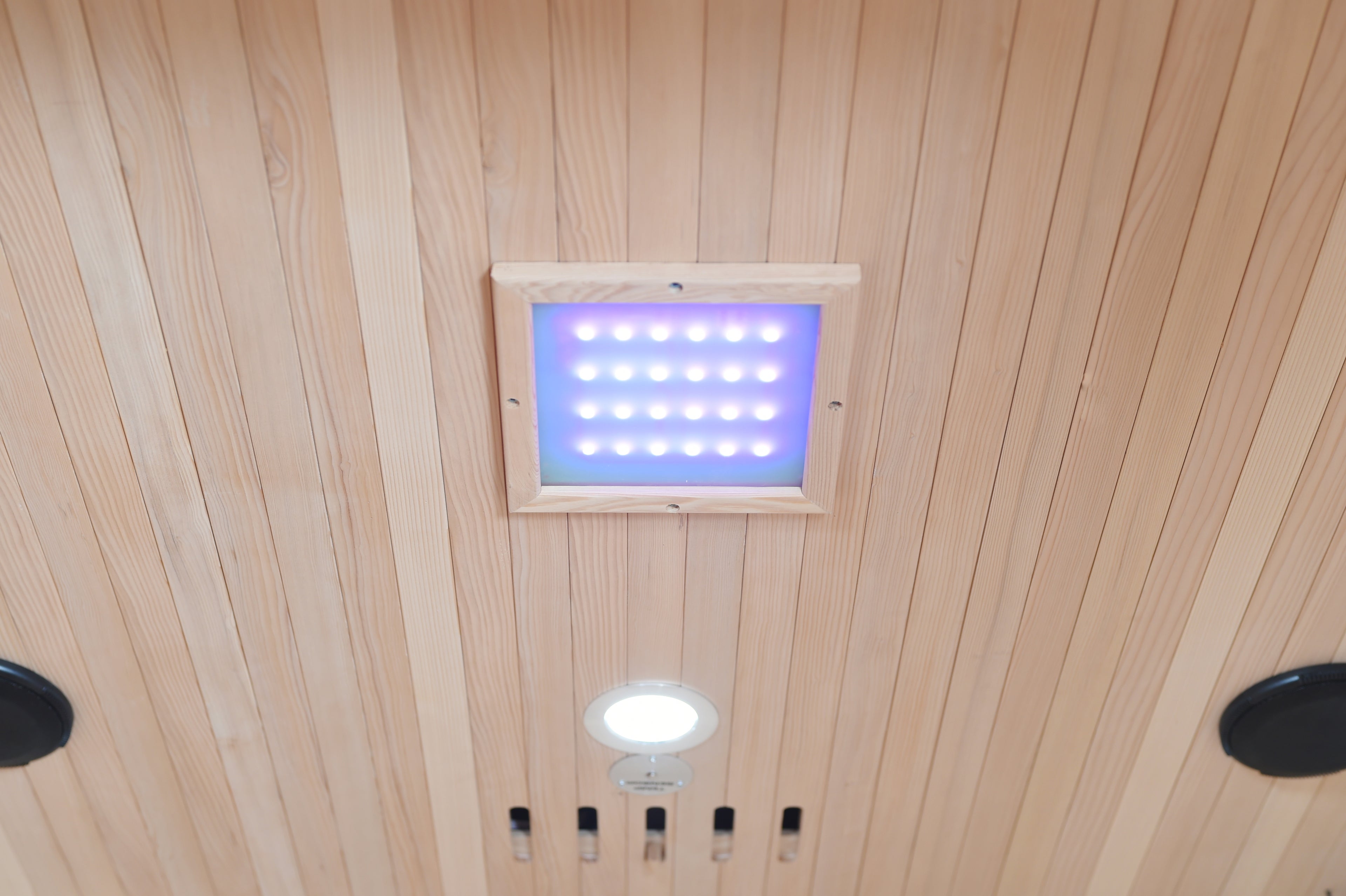 Eagle 2 Person Outdoor Traditional Wet/Dry Sauna with Harvia Heater - buy SunRay Sauna